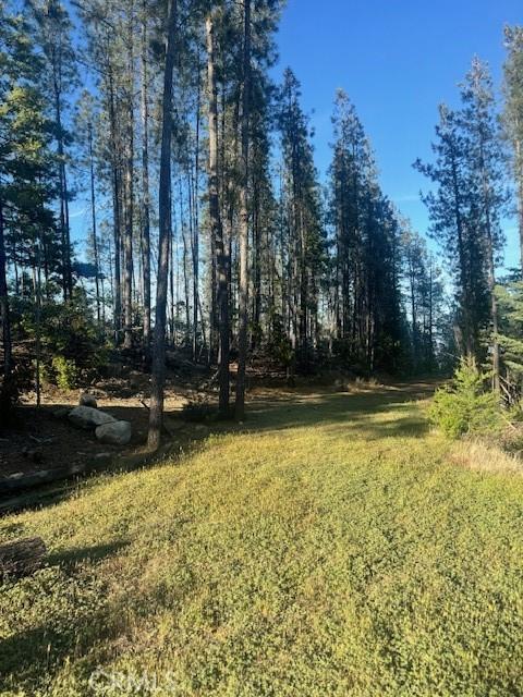 12125 Dry Creek Rd, Middletown, CA 95461 - photo 8