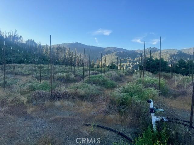 12125 Dry Creek Rd, Middletown, CA 95461 - photo 19