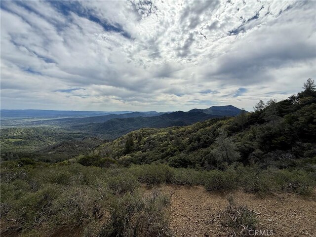 12125 Dry Creek Rd, Middletown, CA 95461 - photo 38