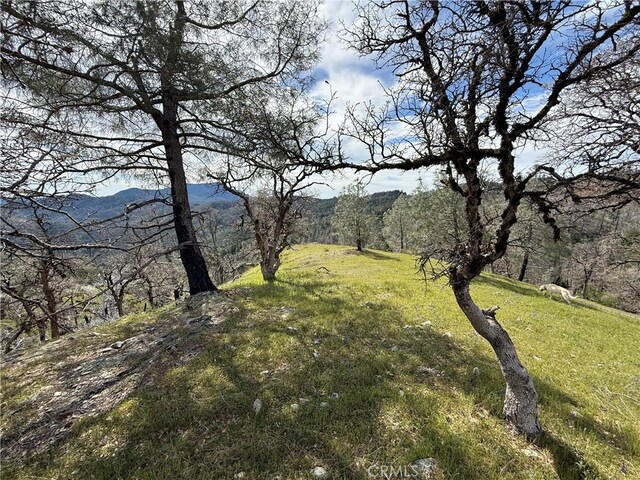 12125 Dry Creek Rd, Middletown, CA 95461 - photo 39