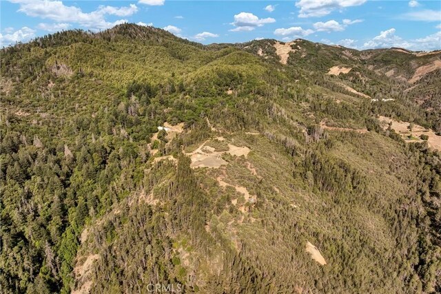 12125 Dry Creek Rd, Middletown, CA 95461 - photo 43