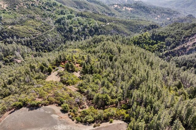 12125 Dry Creek Rd, Middletown, CA 95461 - photo 46