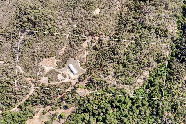 12125 Dry Creek Rd, Middletown, CA 95461 - photo 2