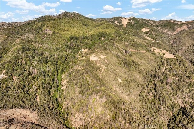 12125 Dry Creek Rd, Middletown, CA 95461 - photo 42