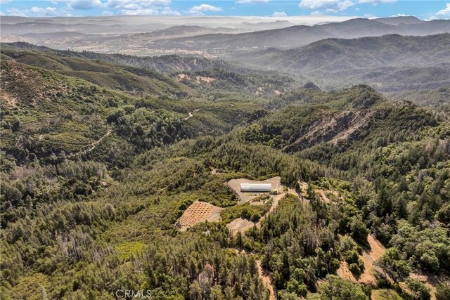 12125 Dry Creek Rd, Middletown, CA 95461 - photo 45