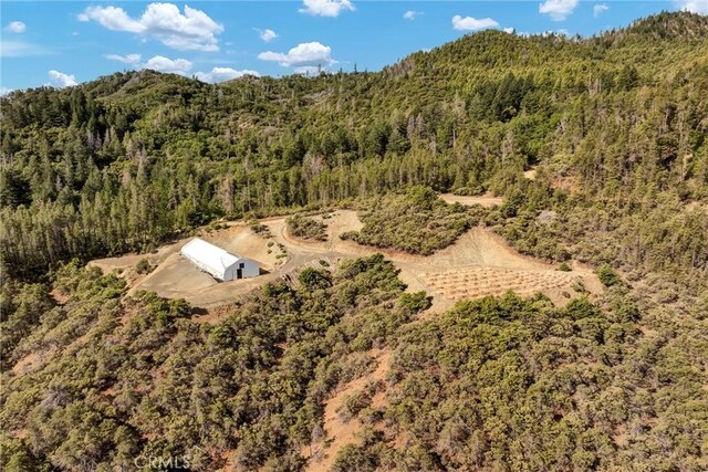 12125 Dry Creek Rd, Middletown, CA 95461 - photo 4