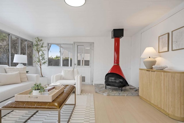 living room featuring a wood stove and wood finished floors