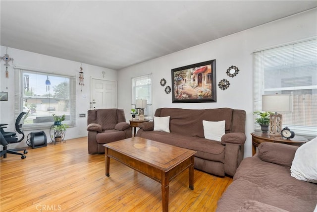 1801 N Ross St, Santa Ana, CA 92706 - living area featuring light wood-type flooring and healthy amount of natural light