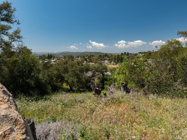 502 E Elder St, Fallbrook, CA 92028