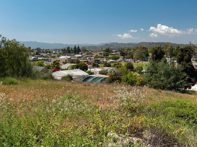 502 E Elder St, Fallbrook, CA 92028