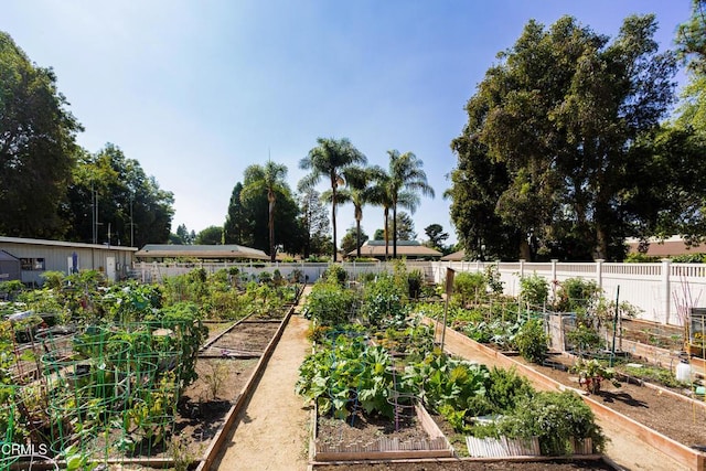 surrounding community featuring a vegetable garden and fence
