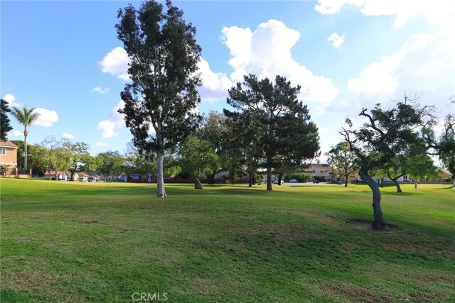 10531 Angel Ave, Fountain Valley, CA 92708 - surrounding community featuring a lawn