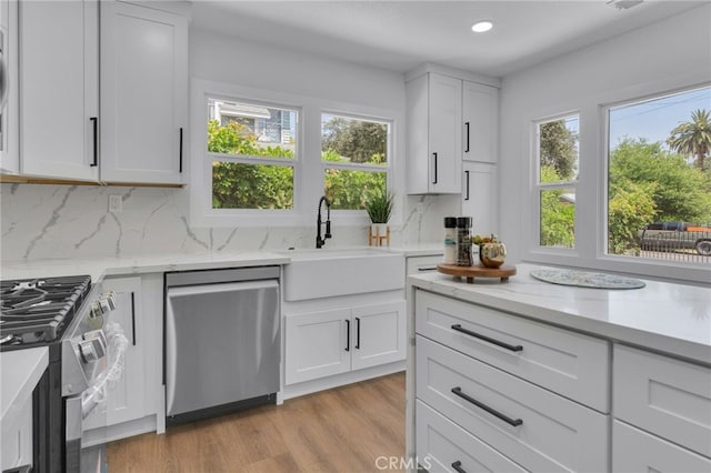 1925 N Marengo Ave, Pasadena, CA 91103 - kitchen featuring stainless steel appliances, plenty of natural light, a sink, tasteful backsplash, and recessed lighting