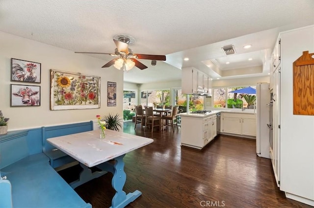 dining space with dark wood finished floors, ceiling fan, a raised ceiling, a textured ceiling, and recessed lighting