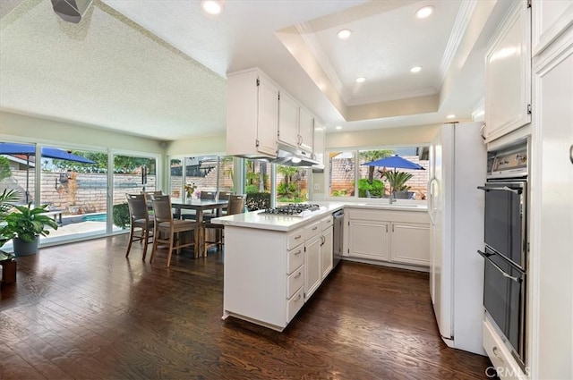 kitchen with crown molding, appliances with stainless steel finishes, a tray ceiling, healthy amount of natural light, and dark wood-style floors