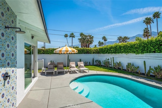 1895 E Mcmanus Dr, Palm Springs, CA 92262 - photo 50