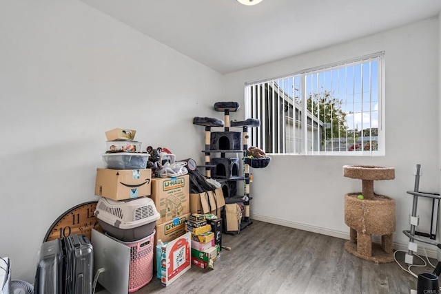 2045 Cardinal Dr, San Diego, CA 92123 - view of storage area