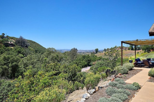 2021 Willow Glen Rd, Fallbrook, CA 92028 - view of yard with a forest view