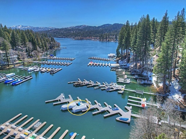 27513 St Bernard Ln, Lake Arrowhead, CA 92352 - water view with a marina, a forest, and mountains