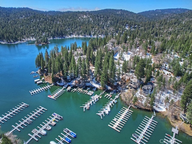 27513 St Bernard Ln, Lake Arrowhead, CA 92352 - aerial view of property and surrounding area with a forest, numerous boat docks, and a water and mountain view