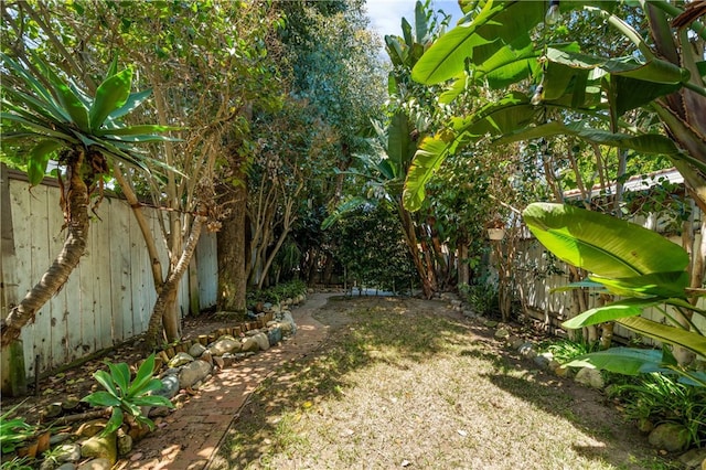 2707 S El Camino Real, San Clemente, CA 92672 - view of fenced backyard
