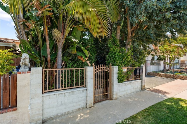 2707 S El Camino Real, San Clemente, CA 92672 - gate featuring a fenced front yard