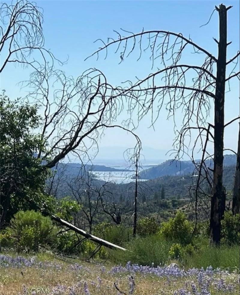 129 Cedar Tree Ln, Oroville, CA 95966