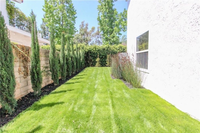 view of yard