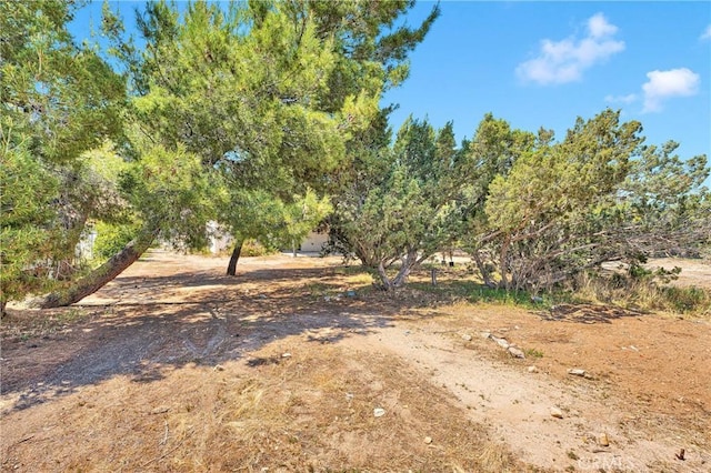 7621 Alston Ave, Hesperia, CA 92345 - view of undeveloped land