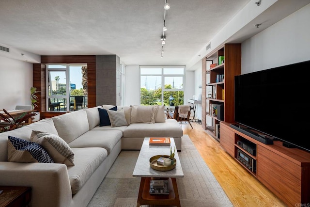 living room with track lighting, light wood-style flooring, and plenty of natural light