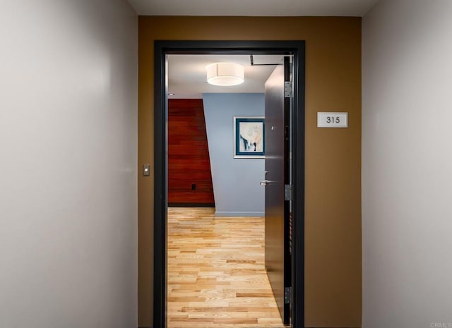 hall featuring light wood finished floors