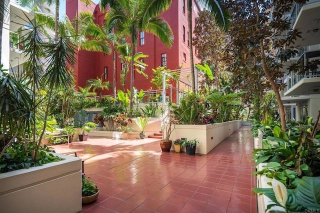 1431 Pacific Hwy Unit 315, San Diego, CA 92101 - view of patio / terrace