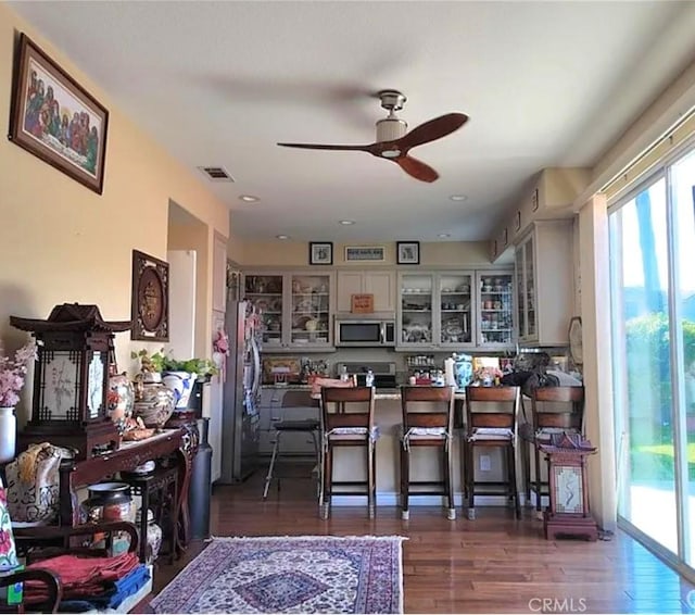 kitchen with stainless steel appliances, plenty of natural light, a ceiling fan, and wood finished floors