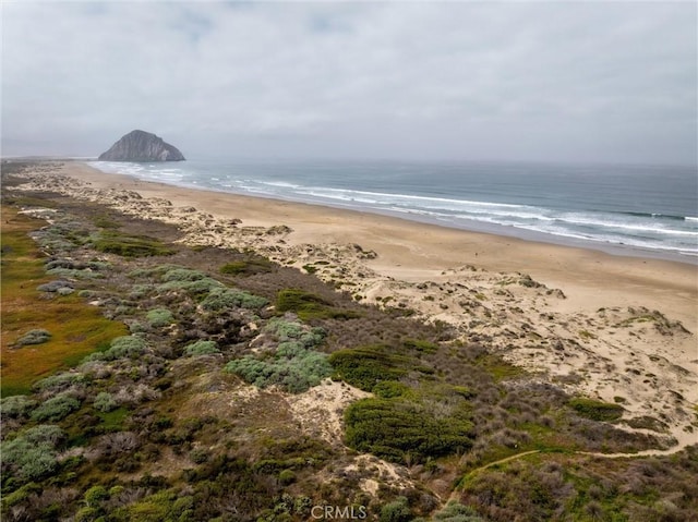 water view featuring local beach