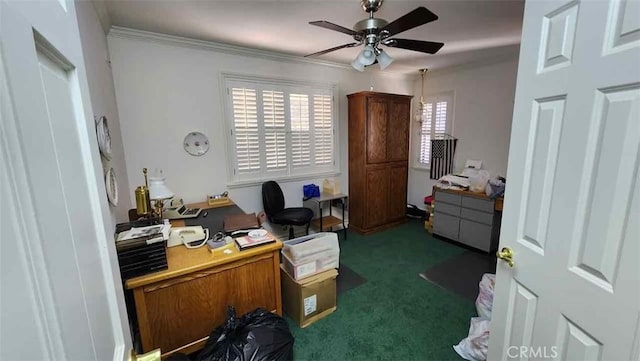 carpeted office space with ceiling fan and crown molding