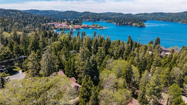 179 Chippewa Ln, Lake Arrowhead, CA 92352 - drone / aerial view of a forest and a nearby body of water
