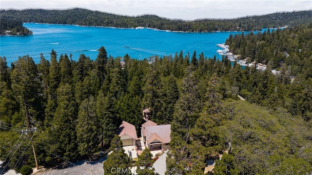 179 Chippewa Ln, Lake Arrowhead, CA 92352 - drone / aerial view of a forest and a nearby body of water