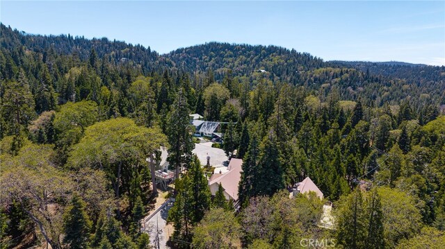 179 Chippewa Ln, Lake Arrowhead, CA 92352 - aerial view of a forest