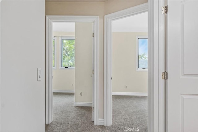 66 N Allen Ave Unit 3, Pasadena, CA 91106 - hall with carpet flooring and baseboards