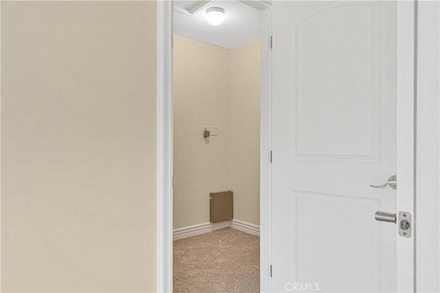66 N Allen Ave Unit 3, Pasadena, CA 91106 - hallway with carpet floors and baseboards
