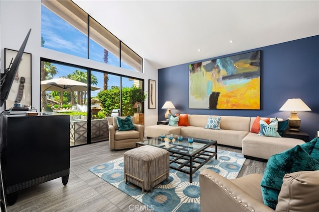 living area featuring wood finished floors and high vaulted ceiling
