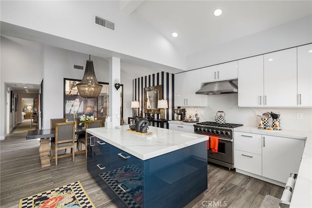 kitchen with high end stainless steel range oven, under cabinet range hood, dark wood-style flooring, high vaulted ceiling, and recessed lighting