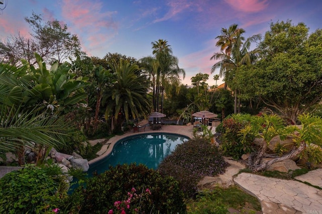 10845 Mystery Mountain Rd, Valley Center, CA 92082 - pool at dusk featuring an outdoor pool and a patio