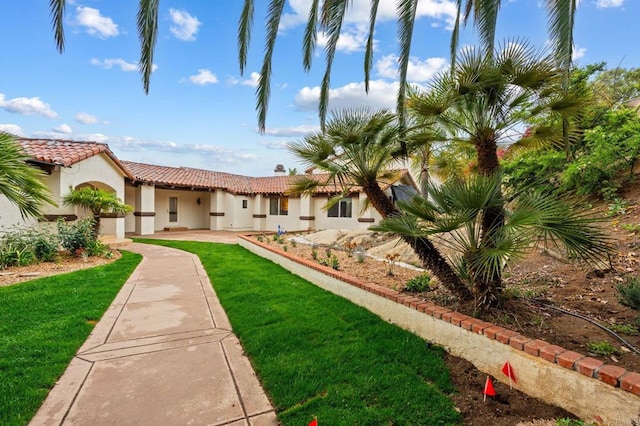 10845 Mystery Mountain Rd, Valley Center, CA 92082 - view of green lawn