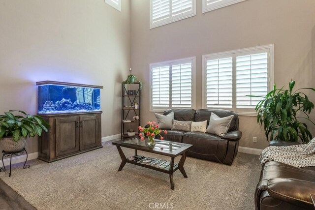 27115 Tube Rose St, Murrieta, CA 92562 - photo 10