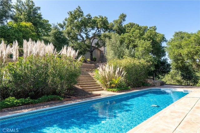 10885 San Marcos Rd, Atascadero, CA 93422 - swimming pool with stairway and view of wooded area
