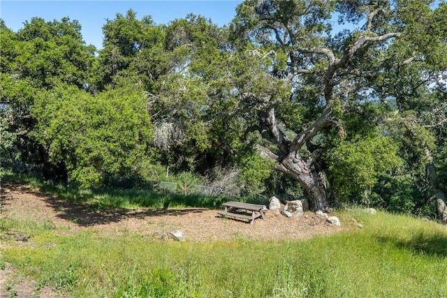 10885 San Marcos Rd, Atascadero, CA 93422 - view of yard