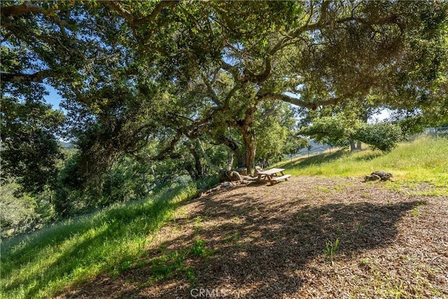 10885 San Marcos Rd, Atascadero, CA 93422 - view of yard