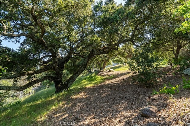 10885 San Marcos Rd, Atascadero, CA 93422 - view of nature