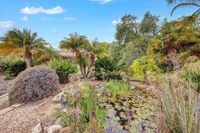 3522 Lancewood Way, Fallbrook, CA 92028 - view of yard